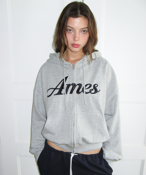 AMESWORLDWIDE(アメスワールドワイド)の「STANDARD LOGO HOODIE ZIP-UP GREY(パーカー・レディース・その他・SMALL/MEDIUM)」の20枚目の写真