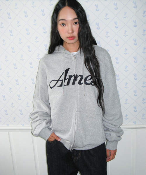 AMESWORLDWIDE(アメスワールドワイド)の「STANDARD LOGO HOODIE ZIP-UP GREY(パーカー・レディース・その他・SMALL/MEDIUM)」の19枚目の写真