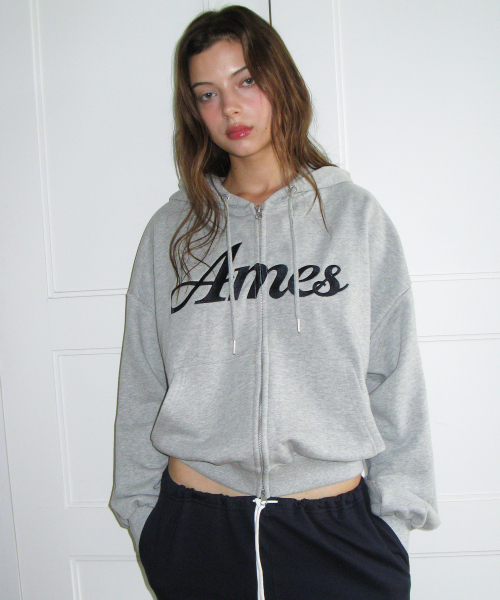 AMESWORLDWIDE(アメスワールドワイド)の「STANDARD LOGO HOODIE ZIP-UP GREY(パーカー・レディース・その他・SMALL/MEDIUM)」の16枚目の写真