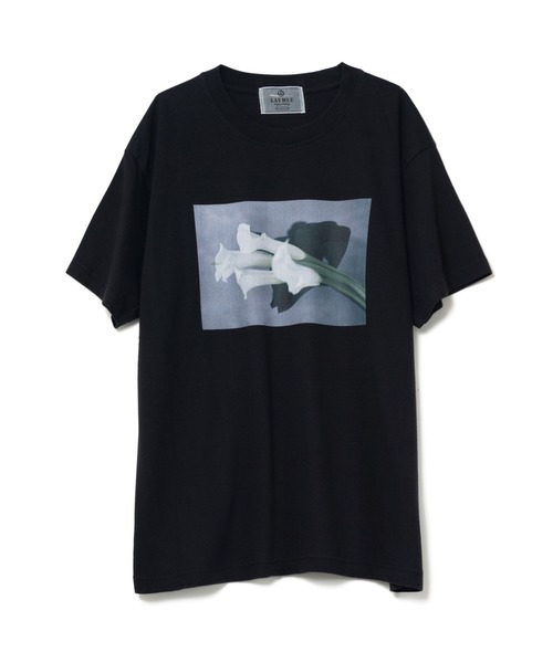 LAYMEE（レイミー）の「Calla Tshirt / カラーTシャツ（Tシャツ/カットソー・レディース・ホワイト/ラベンダー/ブラック・FREE）」の6枚目の写真