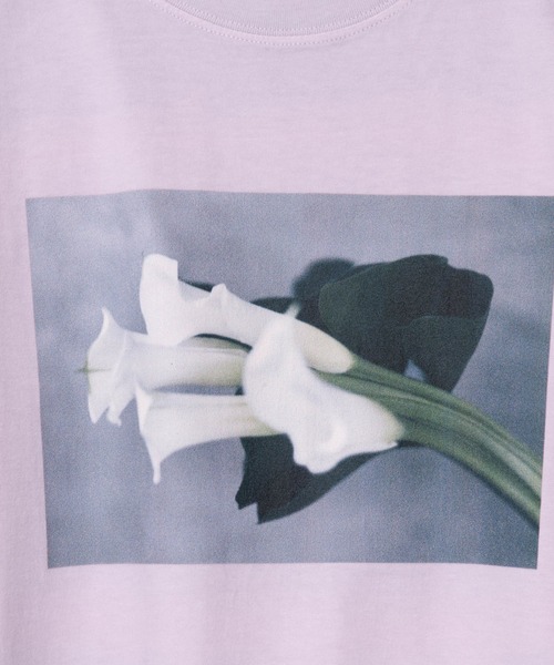 LAYMEE（レイミー）の「Calla Tshirt / カラーTシャツ（Tシャツ/カットソー・レディース・ホワイト/ラベンダー/ブラック・FREE）」の8枚目の写真