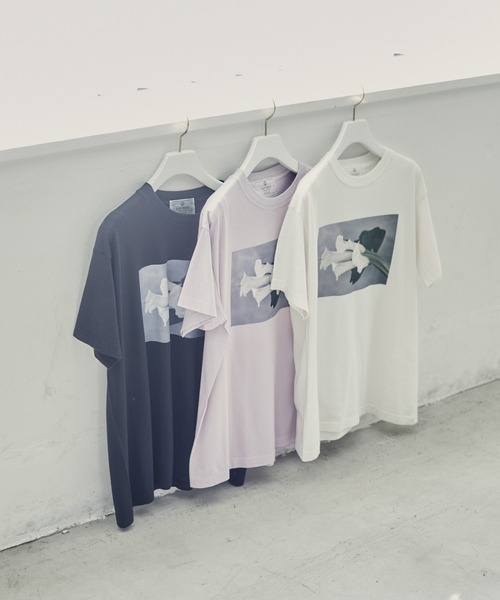 LAYMEE（レイミー）の「Calla Tshirt / カラーTシャツ（Tシャツ/カットソー・レディース・ホワイト/ラベンダー/ブラック・FREE）」の17枚目の写真