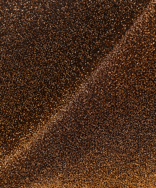 JOURNAL STANDARD relume（ジャーナルスタンダード　レリューム）の「RELUMEグリッタートート（トートバッグ・レディース・ブラウン/シルバー/コバルトブルー・FREE）」の19枚目の写真