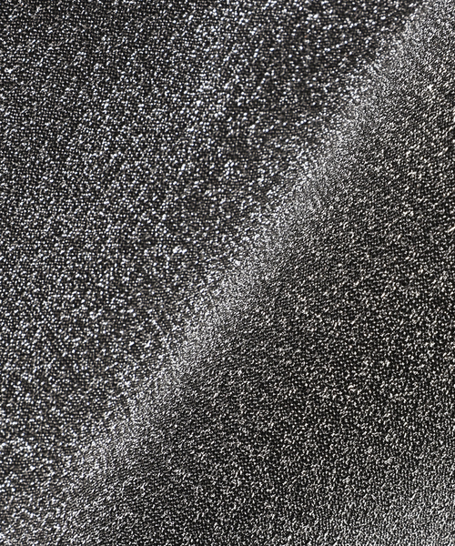 JOURNAL STANDARD relume（ジャーナルスタンダード　レリューム）の「RELUMEグリッタートート（トートバッグ・レディース・ブラウン/シルバー/コバルトブルー・FREE）」の21枚目の写真