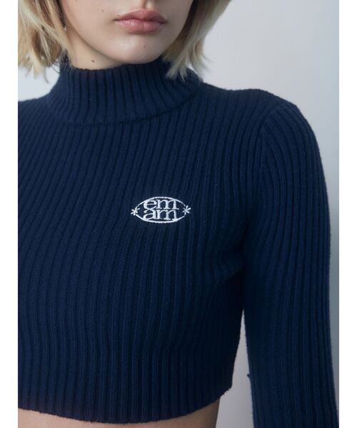 EMODA（エモダ）の「【Ames Worldwide】エンブロイダリークロップニット（ニット/セーター・レディース・グレー/ピンク/ネイビー・FREE）」の5枚目の写真