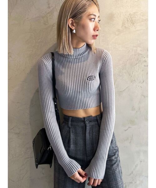 EMODA（エモダ）の「【Ames Worldwide】エンブロイダリークロップニット（ニット/セーター・レディース・グレー/ピンク/ネイビー・FREE）」の16枚目の写真