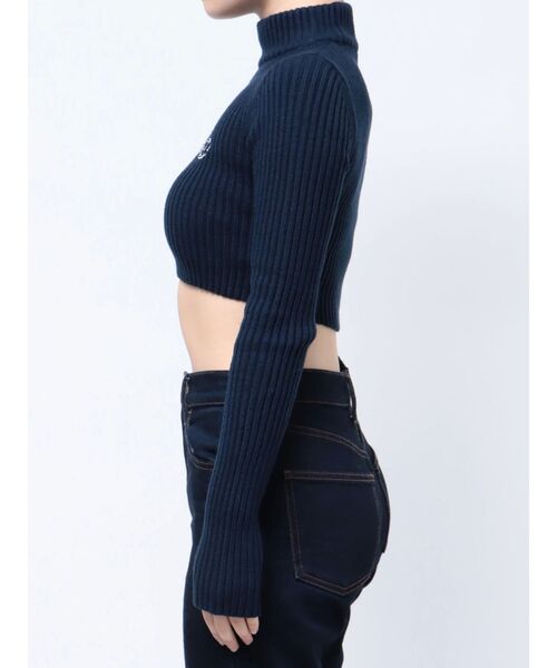 EMODA（エモダ）の「【Ames Worldwide】エンブロイダリークロップニット（ニット/セーター・レディース・グレー/ピンク/ネイビー・FREE）」の21枚目の写真