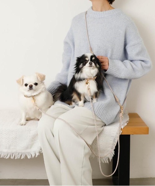 セール】ミックスカラー反射継ぎ足しリード / 犬服 / ドッグウェア