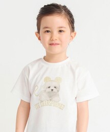 BRANSHES | 【ZOZO先行販売】アソートアニマルプリント半袖Tシャツ(Tシャツ/カットソー)