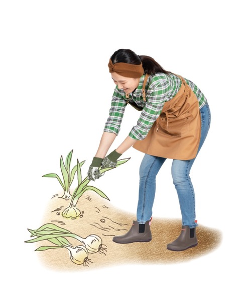 MoonStar(ムーンスター)の「【MoonStar/ムーンスター】MS RLS02 ワークブーツ 2E(レインシューズ・レディース・アッシュ/ブラウン/モスグリーン/ピンク・21.0cm/22.0cm/23.0cm/24.0cm/25.0cm/26.0cm)」の19枚目の写真