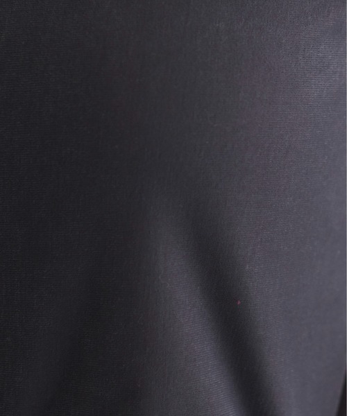 ANGIE(アンジー)の「シアー ベロア Tシャツ / 半袖(Tシャツ/カットソー・レディース・ブラウン/ベージュ/グレー・MEDIUM/LARGE)」の10枚目の写真