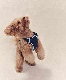 AIGLE（エーグル）の「ドッグ ハーネス（ペットウェア）」