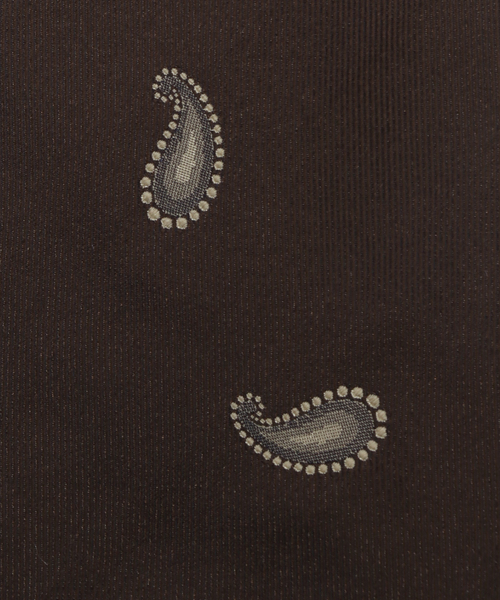 EDIFICE(エディフィス)の「AX Classico Seta ペイズリータイ(ネクタイ・メンズ・ブラウン/ネイビー・FREE)」の6枚目の写真