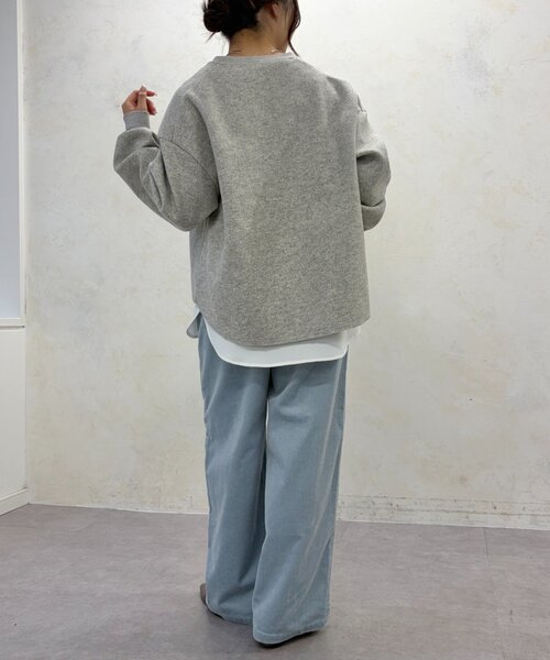 Jena espace merveilleux（ジェナ　エスパスメルヴェイユ）の「深V起毛プルオーバー　秋服（シャツ/ブラウス・レディース・ベージュ/ライトグレー・FREE）」の7枚目の写真