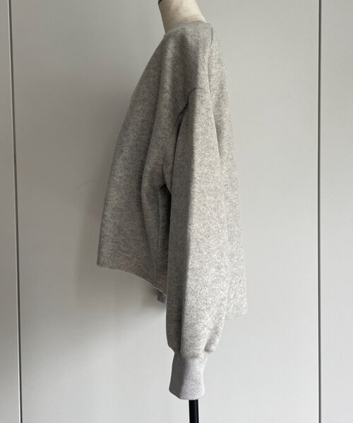 Jena espace merveilleux（ジェナ　エスパスメルヴェイユ）の「深V起毛プルオーバー　秋服（シャツ/ブラウス・レディース・ベージュ/ライトグレー・FREE）」の9枚目の写真