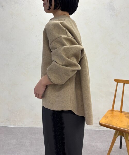 Jena espace merveilleux（ジェナ　エスパスメルヴェイユ）の「深V起毛プルオーバー　秋服（シャツ/ブラウス・レディース・ベージュ/ライトグレー・FREE）」の13枚目の写真