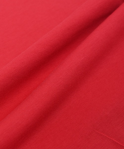 THE NORTH FACE(ザノースフェイス)の「THE NORTH FACE (ザ・ノース フェイス) RedBox Celebration 半袖Tシャツ(Tシャツ/カットソー・レディース・ブラック/レッド/ブルー/ホワイト×ブラック・S/M/L/XL)」の14枚目の写真