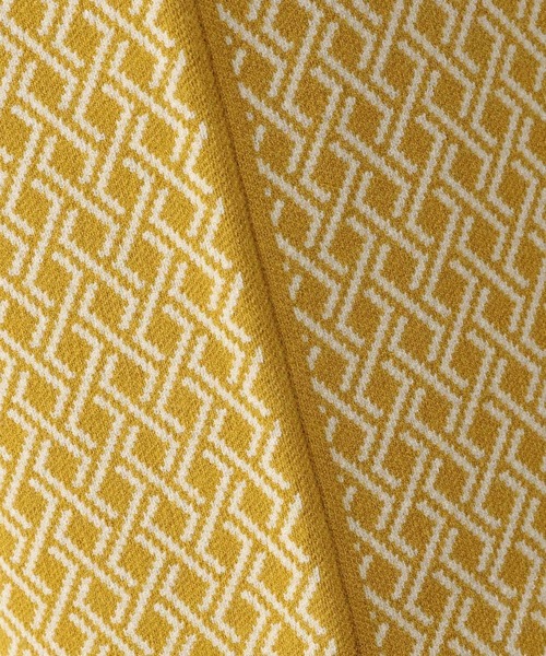 LEPSIM（レプシィム）の「12ゲージムジガラナロースカート　124987（スカート・レディース・ブラック/ブラック系その他/イエロー系その他・FREE）」の16枚目の写真