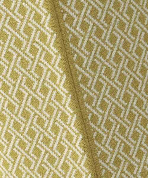 LEPSIM（レプシィム）の「12ゲージムジガラナロースカート　124987（スカート・レディース・ブラック/ブラック系その他/イエロー系その他・FREE）」の21枚目の写真