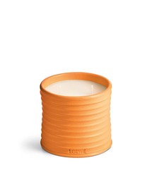 【 LOEWE 】オレンジブロッサム アロマキャンドル LW77194_1.jpg?sw=621&sh=937