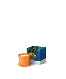 ロエベ キャンドル オレンジ ブロッサム Ｓ P731J80X06_8692_1F.jpg?sw=1200