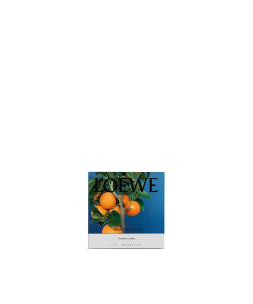 【 LOEWE 】オレンジブロッサム アロマキャンドル オレンジブロッサム ワックス キャンドルホルダー オレンジ - LOEWE
