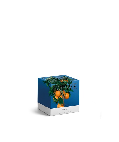 LOEWE ロエベ　キャンドル　ORANGE BLOSSOMオレンジブロッサム オレンジブロッサム キャンドル ミディアム オレンジ - LOEWE