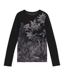ZUCCa | SHEER WILD FLOWER / カットソー / P(Tシャツ/カットソー)
