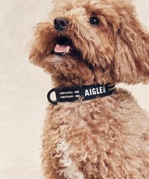 AIGLE（エーグル）の「ドッグ カラー（首輪）（ペットウェア）」