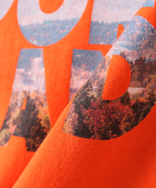 JOURNAL STANDARD(ジャーナルスタンダード)の「TAKE IT TAKE STORE PORT LAND TEE(Tシャツ/カットソー・メンズ・ホワイト/オレンジ・LARGE/MEDIUM)」の17枚目の写真
