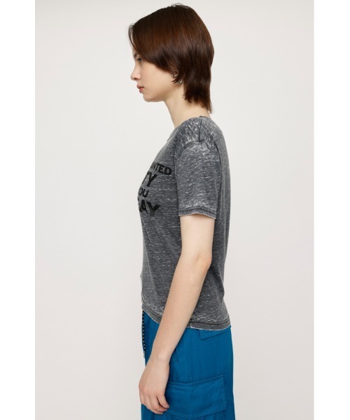 SLY（スライ）の「MESSAGE T/SH メッセージ Tシャツ バック