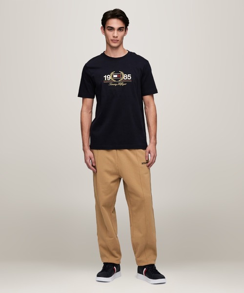 TOMMY HILFIGER(トミーヒルフィガー)の「アイコニックローレルTシャツ(Tシャツ/カットソー・メンズ・ネイビー/ホワイト・LARGE/X-LARGE/SMALL/MEDIUM)」の14枚目の写真