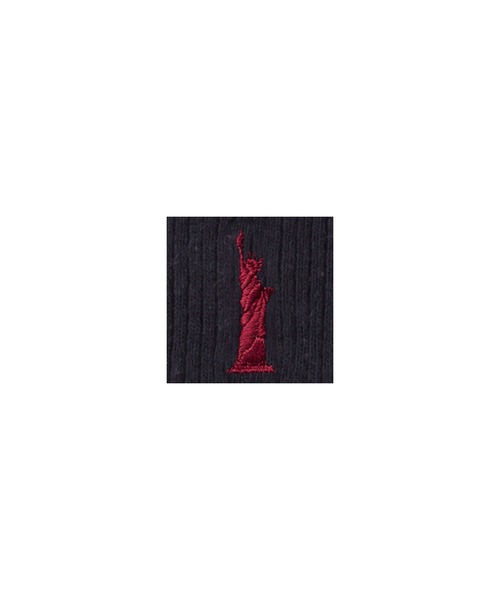 EASTBOY(イーストボーイ)の「ソックス 両面刺繍 20cm丈 通学 靴下 中学生 高校生 スクール(ソックス/靴下・キッズ・ネイビー系1/ホワイト×ネイビー/ブラック×レッド/ホワイト×ブルー/ネイビー系3/ブラック×ブルー/ブラック×ピンク/ホワイト×ピンク/ネイビー系2・F)」の16枚目の写真