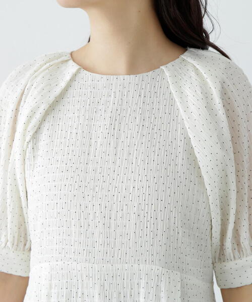N.(N. Natural Beauty Basic)(エヌエヌナチュラルビューティーベーシック)の「ラグランスリーブドットワンピース(ワンピース・レディース・ブラック/オフホワイト・MEDIUM)」の22枚目の写真