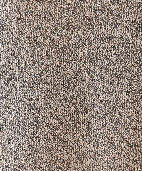 INDIVI(インディヴィ)の「【和紙混素材】フレンチスリーブミックスカラーニット(ニット/セーター・レディース・グレー系4/ベージュ系その他7/グリーン系5/チャコール・38/34/19/15 /13/05)」の13枚目の写真