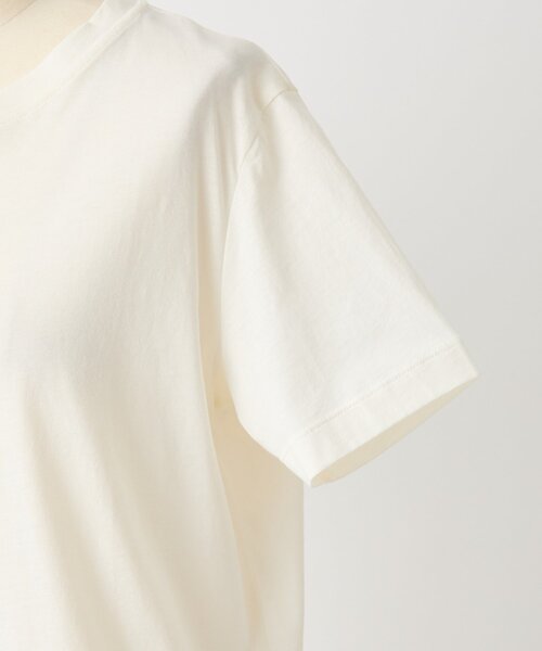 BEARDSLEY(ビアズリー)の「《SOFIE D'HOORE》カットソー(Tシャツ/カットソー・レディース・ブルー系その他/カーキ/ホワイト・38)」の8枚目の写真
