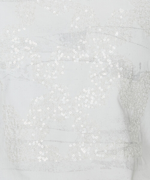 Gabardine K.T(ギャバジンケーティー)の「プレーティング天竺 星柄Tシャツ(Tシャツ/カットソー・レディース・ライトグレー/ホワイト/ブラック・9号/5号)」の16枚目の写真