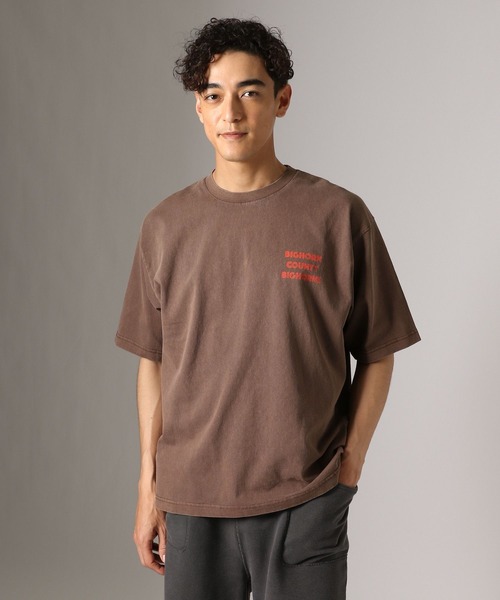 BAYFLOW(ベイフロー)の「レトロスポーツアニマルTEE(Tシャツ/カットソー・メンズ・チャコール/ピンク/オフホワイト/ブラウン・MEDIUM/LARGE)」の22枚目の写真
