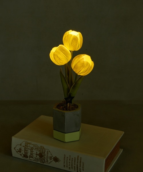 BIRTHDAY BAR(バースデイバー)の「【VIA K STUDIO】キューティー チューリップポット LED(照明・レディース・ホワイト/ピンク・フリー)」の1枚目の写真