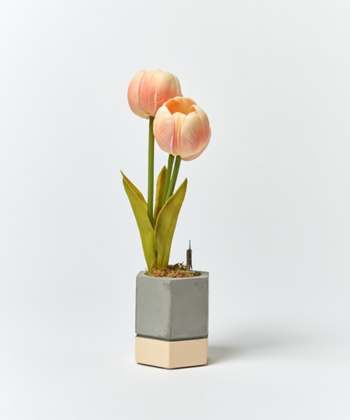 BIRTHDAY BAR(バースデイバー)の「【VIA K STUDIO】キューティー チューリップポット LED(照明・レディース・ホワイト/ピンク・フリー)」の7枚目の写真