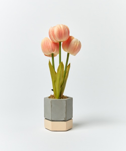 BIRTHDAY BAR(バースデイバー)の「【VIA K STUDIO】キューティー チューリップポット LED(照明・レディース・ホワイト/ピンク・フリー)」の10枚目の写真