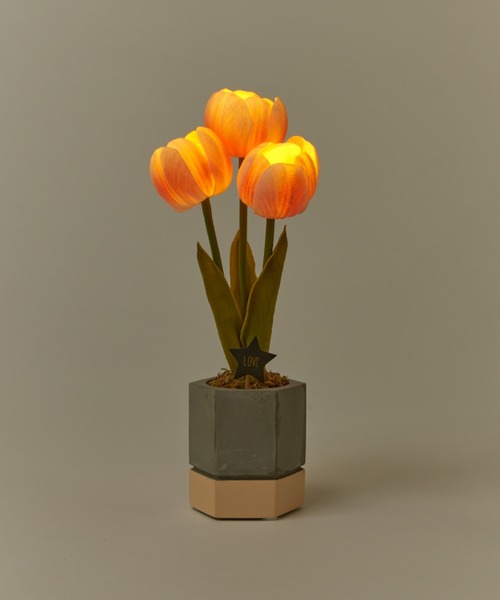 BIRTHDAY BAR(バースデイバー)の「【VIA K STUDIO】キューティー チューリップポット LED(照明・レディース・ホワイト/ピンク・フリー)」の8枚目の写真