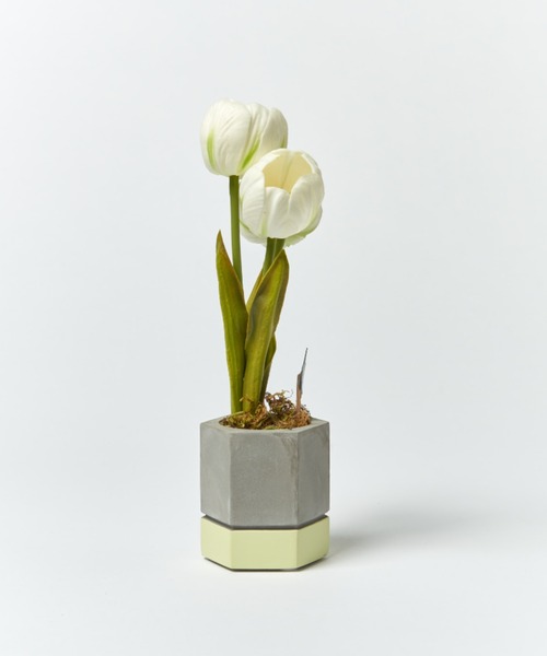 BIRTHDAY BAR(バースデイバー)の「【VIA K STUDIO】キューティー チューリップポット LED(照明・レディース・ホワイト/ピンク・フリー)」の3枚目の写真