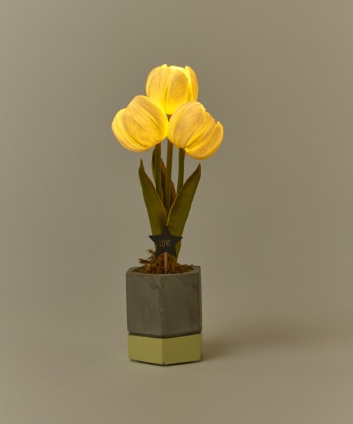 BIRTHDAY BAR(バースデイバー)の「【VIA K STUDIO】キューティー チューリップポット LED(照明・レディース・ホワイト/ピンク・フリー)」の9枚目の写真