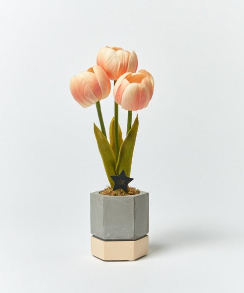 BIRTHDAY BAR(バースデイバー)の「【VIA K STUDIO】キューティー チューリップポット LED(照明・レディース・ホワイト/ピンク・フリー)」の11枚目の写真