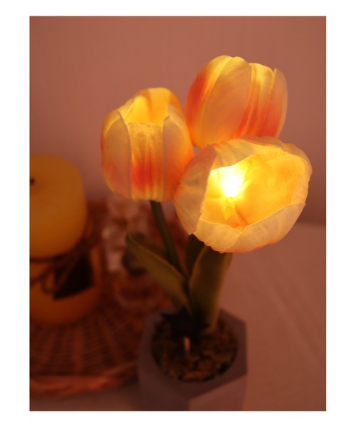 BIRTHDAY BAR(バースデイバー)の「【VIA K STUDIO】キューティー チューリップポット LED(照明・レディース・ホワイト/ピンク・フリー)」の13枚目の写真