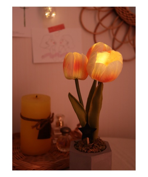BIRTHDAY BAR(バースデイバー)の「【VIA K STUDIO】キューティー チューリップポット LED(照明・レディース・ホワイト/ピンク・フリー)」の12枚目の写真
