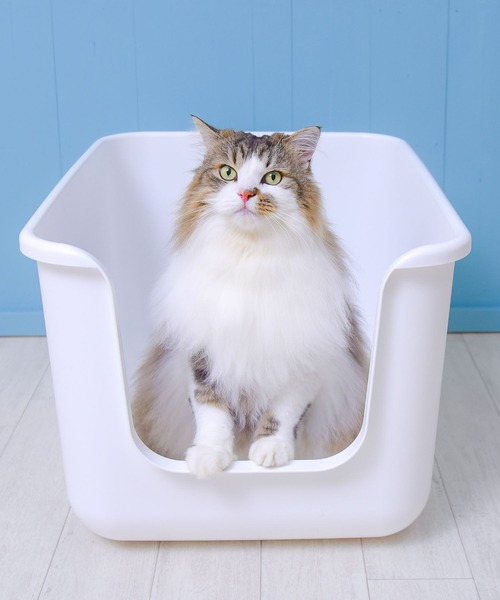 インテリア猫トイレ【BEAUTY】（その他ペットグッズ