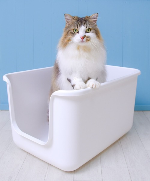 onekosama トイレ　beauty plus ホワイト Amazon | ONEKOSAMA おねこさま 猫用トイレ 大型 大容量