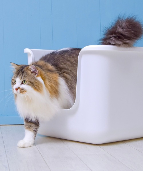 セール】インテリア猫トイレ【BEAUTY】（その他ペットグッズ